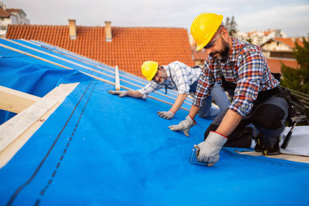 Professional Roofing Contractor in Jasper, TX